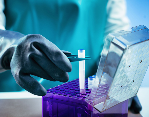 أبحاث الخلايا الجذعية