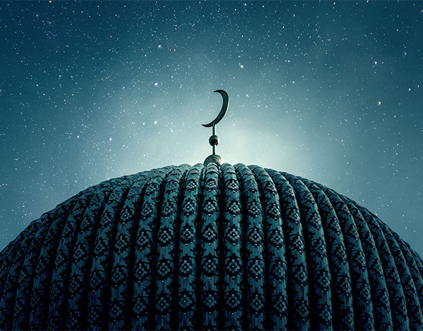 دليل فقيه الحنيفية السمحة