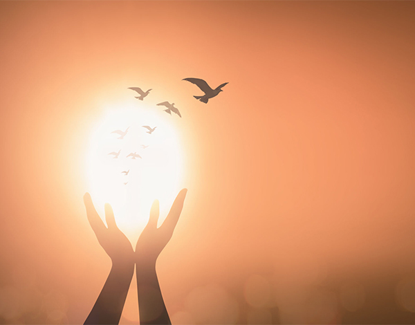 دور ومهام النبي