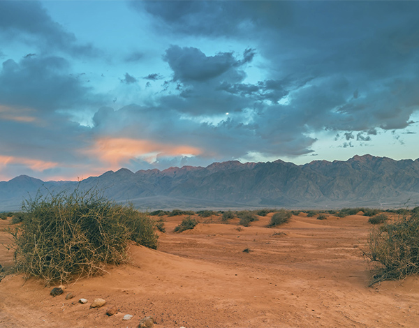 ليلة العقبة وميلاد الحضارة