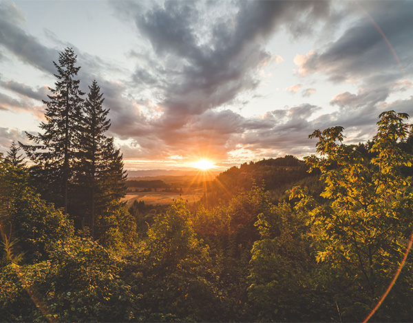 مفهوم الجمال