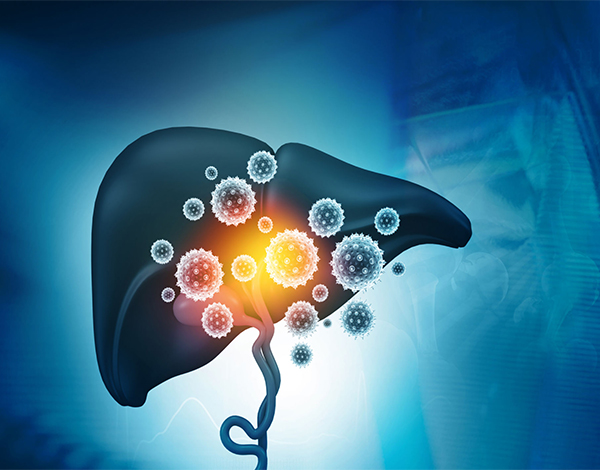 مكافحة الفيروسات الكبدية